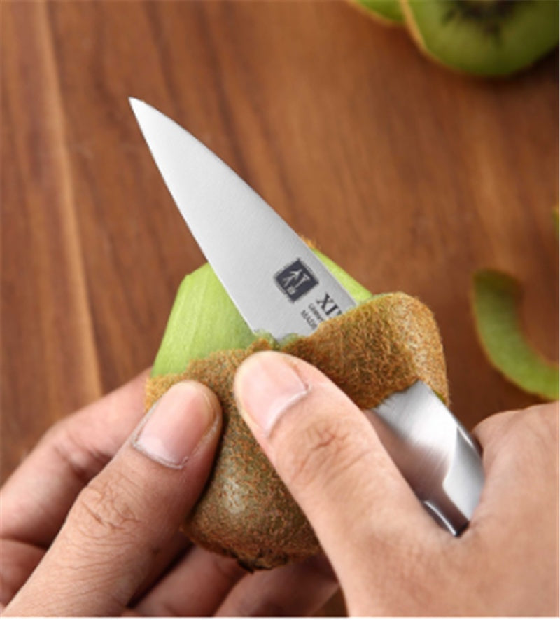 Imported Stainless Steel Pocket Knife